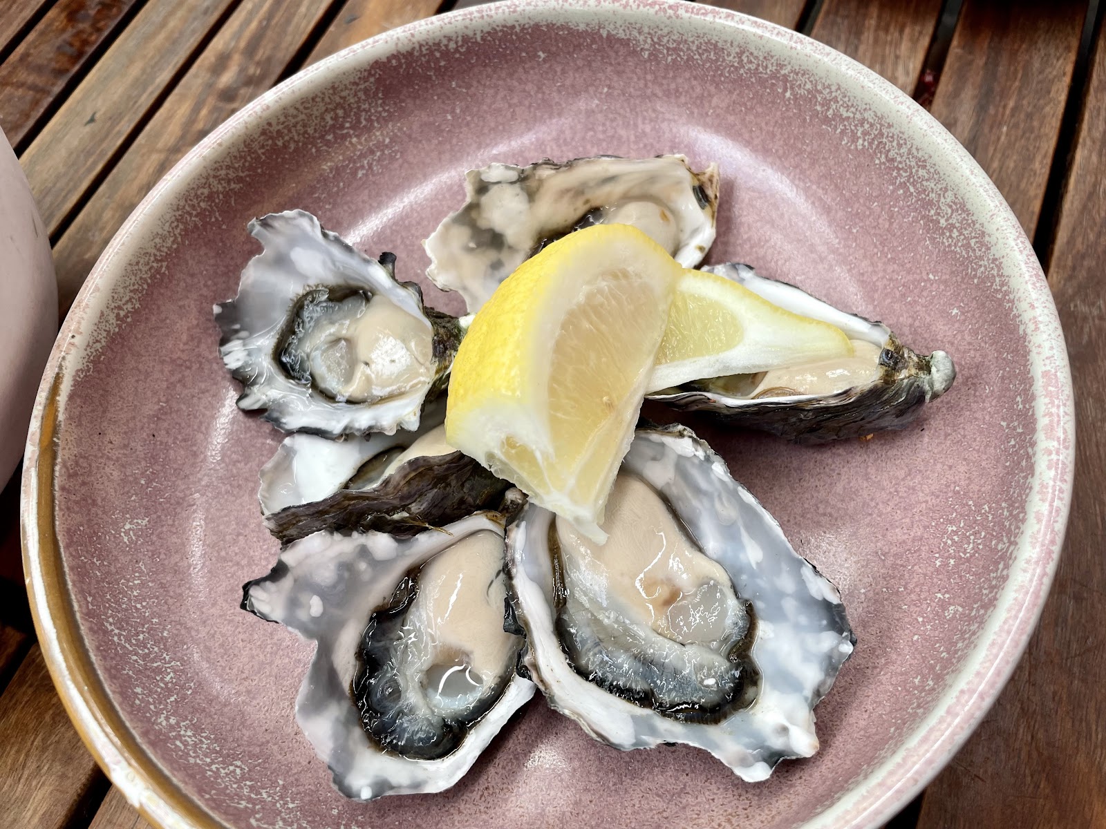oysters at Claypots Evening Star