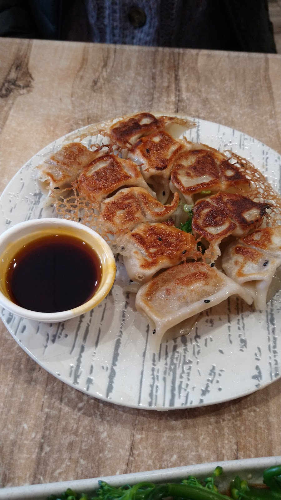 Dumplings at Pot Sticker Dumpling House - Hobart