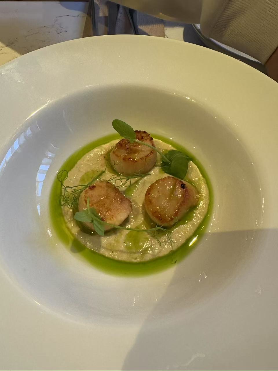 scallops at Clover Dining